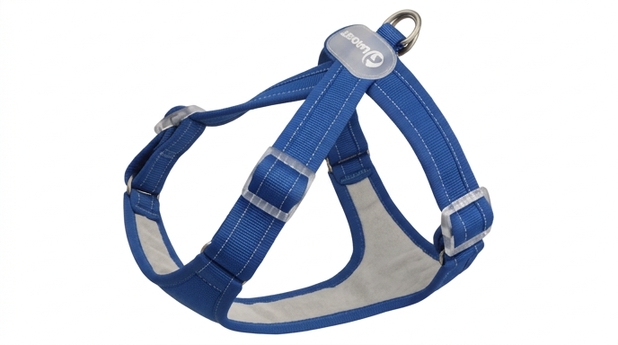 Gilet Nylon Petit Chien : Confort & Sans Traction