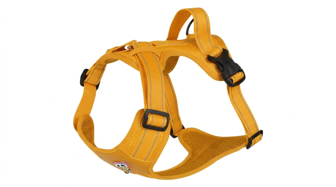 Harnais Chien Réfléchissant Imperméable Grandes Races