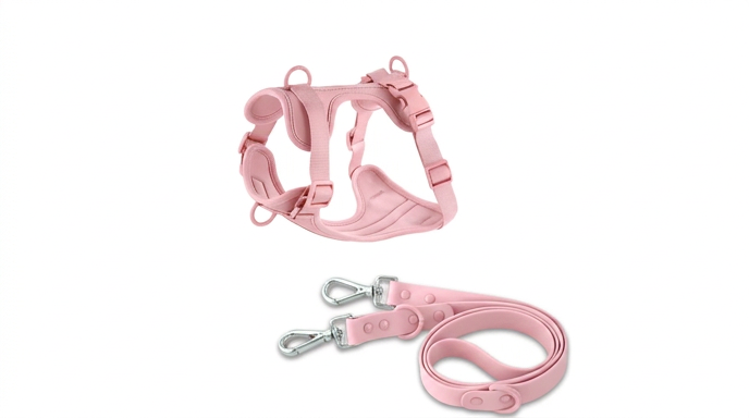 Harnais et Laisse Double PVC : Confort & Sécurité