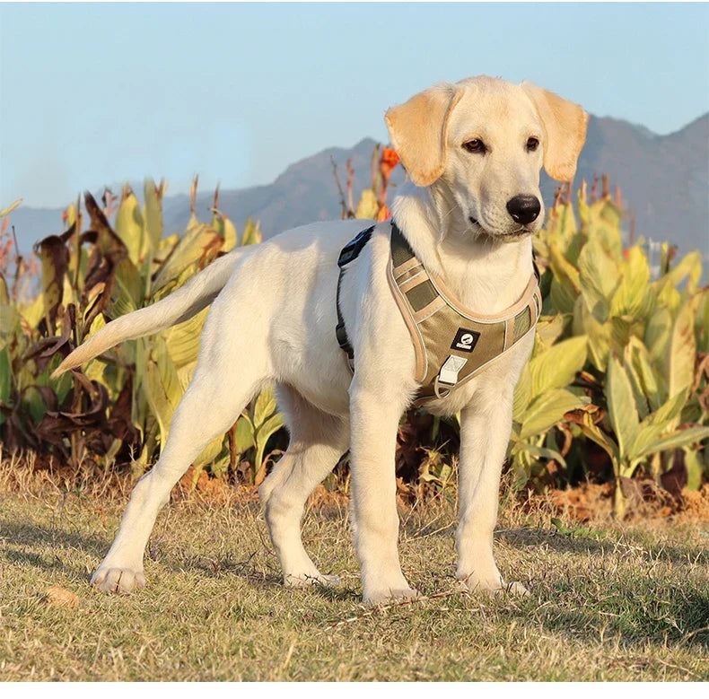 Harnais Tactique Oxford Anti-Traction pour Grand Chien