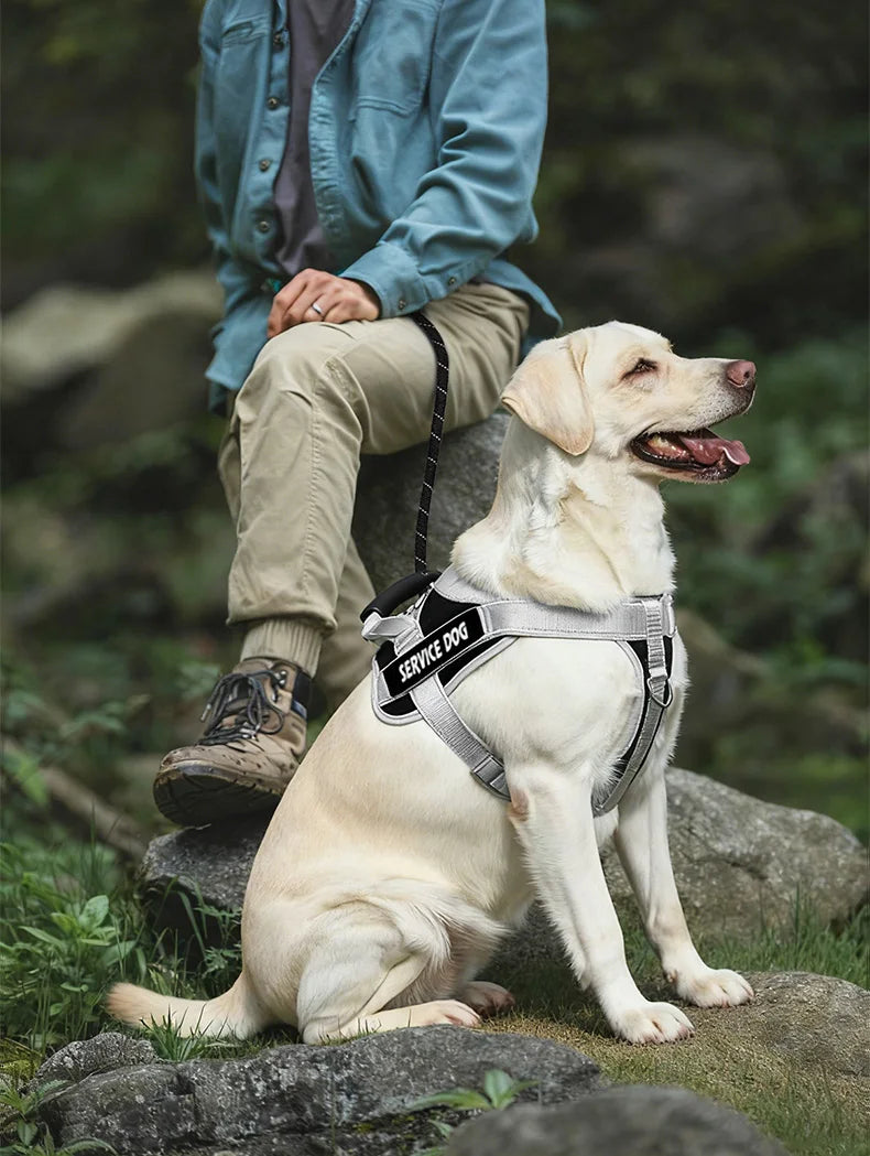 Harnais Grand Chien Anti-Traction Réfléchissant