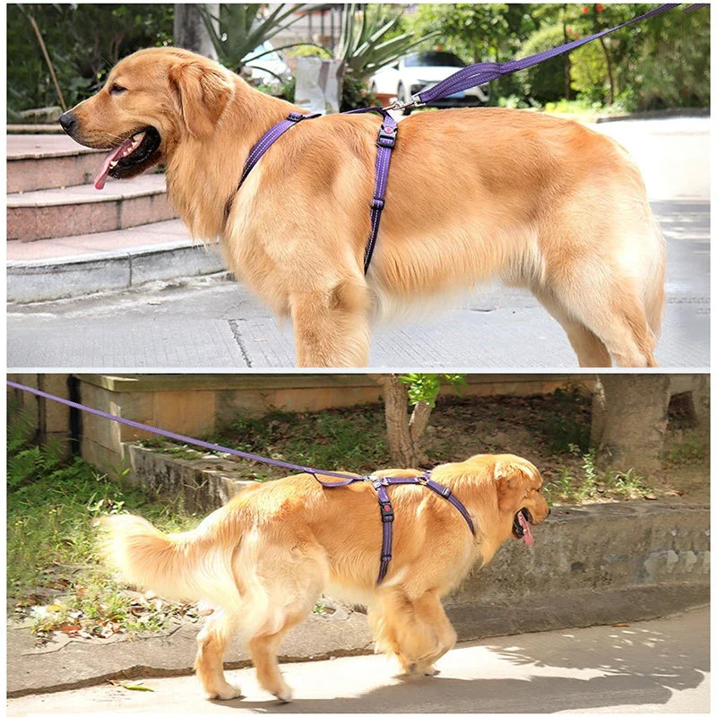 Harnais Anti-Évasion H pour Chien
