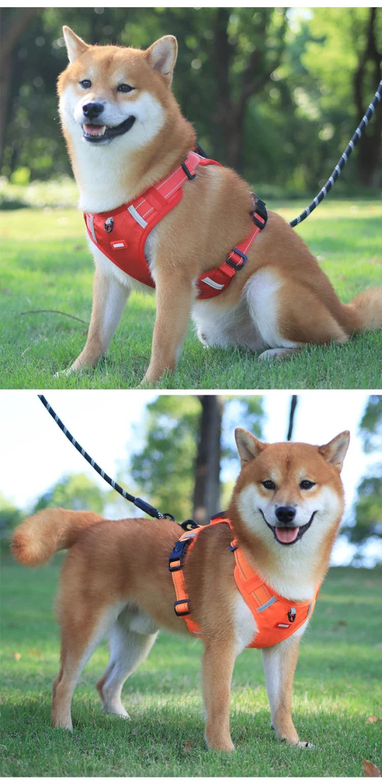 Harnais Oxford Réglable pour Labrador & Husky