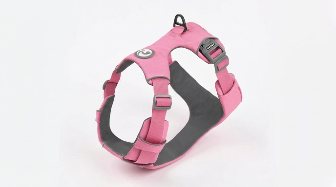 Harnais Anti-Traction Chien : Sécurité & Contrôle