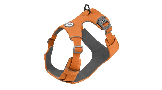 Harnais Anti-Traction Chien : Sécurité & Contrôle