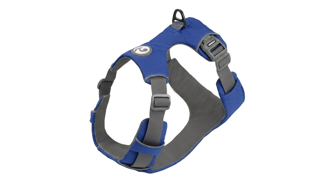 Harnais Anti-Traction Chien : Sécurité & Contrôle