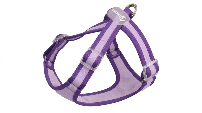 Gilet Nylon Petit Chien : Confort & Sans Traction