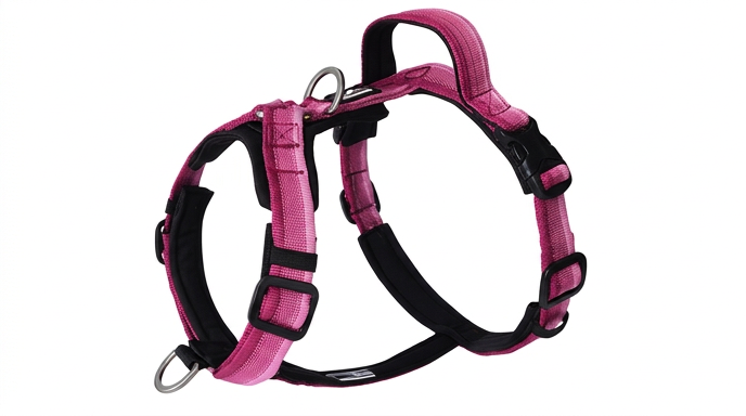 Harnais Anti-Traction Dégradé pour Grand Chien