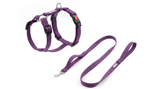 Harnais Anti-Évasion H pour Chien