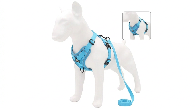 Laisse Réglable Confort pour Petit Chien & Chat