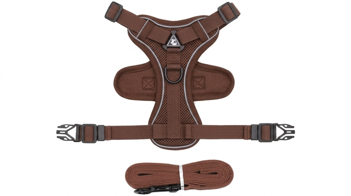 Harnais Anti-Traction & Laisse pour Petit Chien/Chat