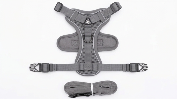 Harnais Anti-Traction & Laisse pour Petit Chien/Chat