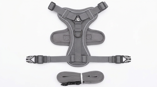 Harnais Anti-Traction & Laisse pour Petit Chien/Chat