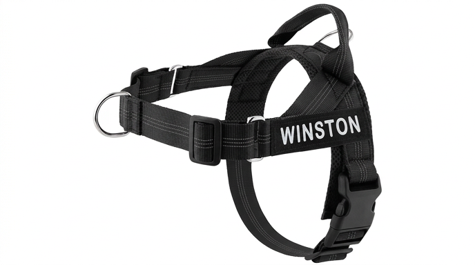 Harnais Chien Anti-Traction Personnalisable