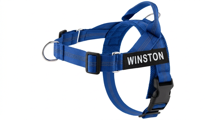 Harnais Chien Anti-Traction Personnalisable