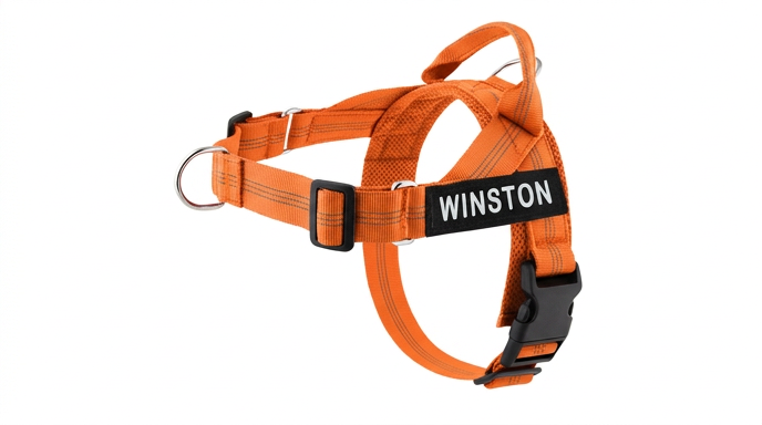 Harnais Chien Anti-Traction Personnalisable