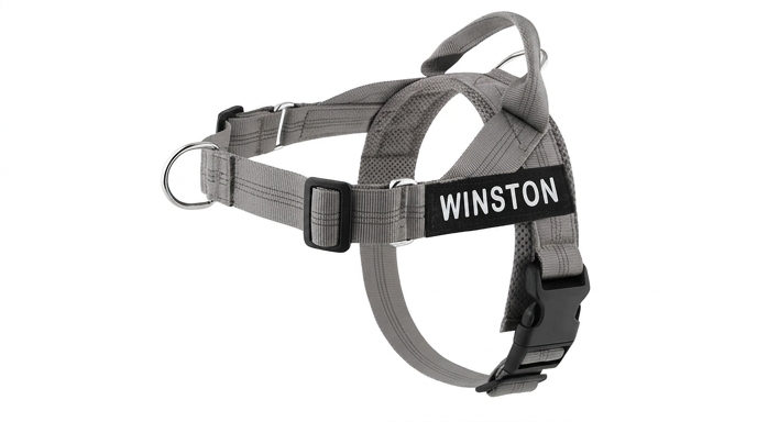 Harnais Chien Anti-Traction Personnalisable