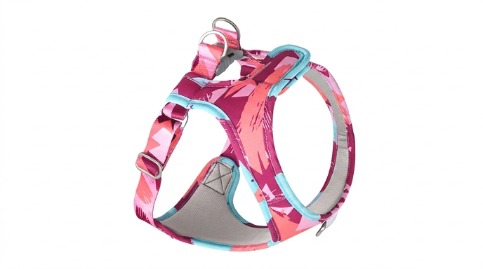 Ensemble Laisse et Collier Chien Chat Maille Polyester Réglable