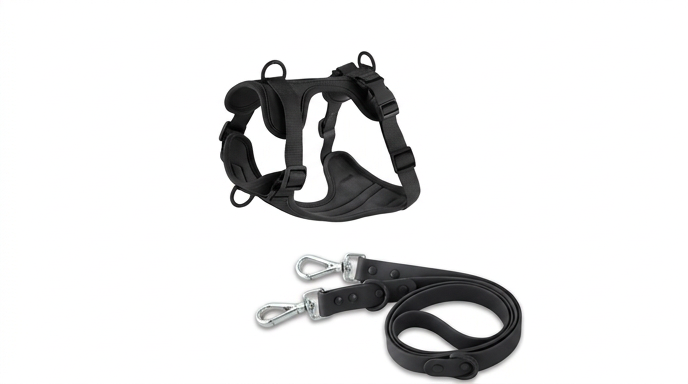 Harnais et Laisse Double PVC : Confort & Sécurité