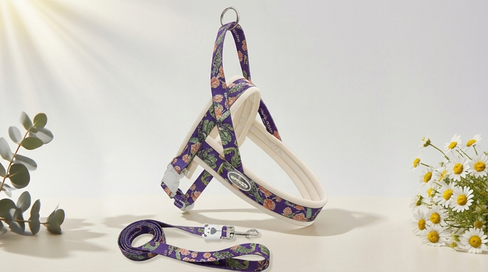 Harnais Grand Chien Luxe Imprimé Anti-Traction