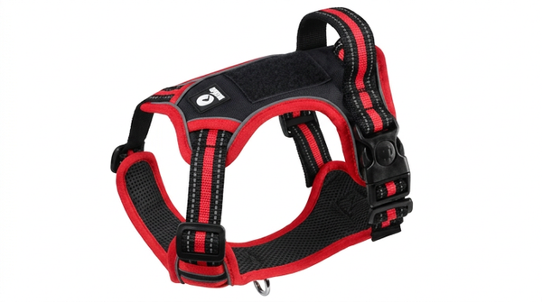 Harnais Anti-Évasion Oxford Grand Chien + Collier Réfléchissant