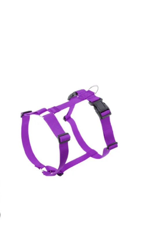 Harnais & Laisse Nylon Grand Chien