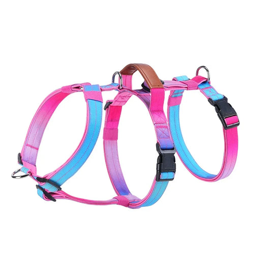 Harnais Anti-Traction Grand Chien - Sécurité Extérieure