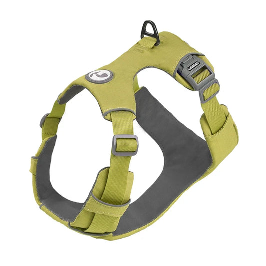 Harnais Anti-Traction Chien : Sécurité & Contrôle