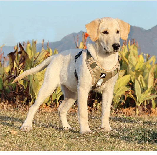 Harnais Tactique Oxford Anti-Traction pour Grand Chien