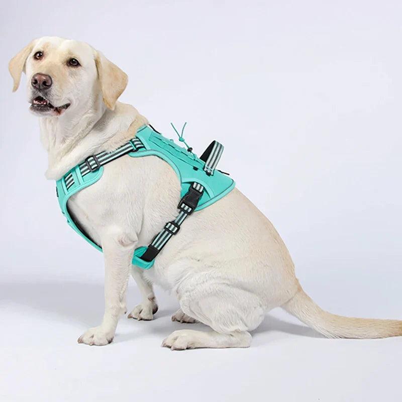 Harnais Tactique Militaire Rembourré pour Chien