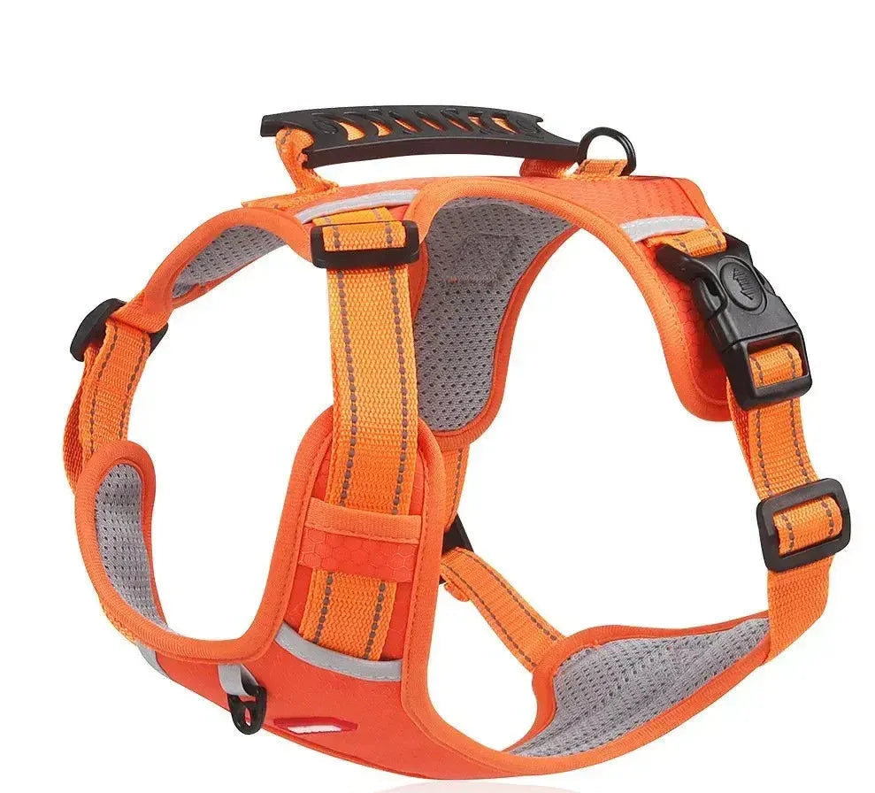 Harnais Oxford Réglable pour Labrador & Husky