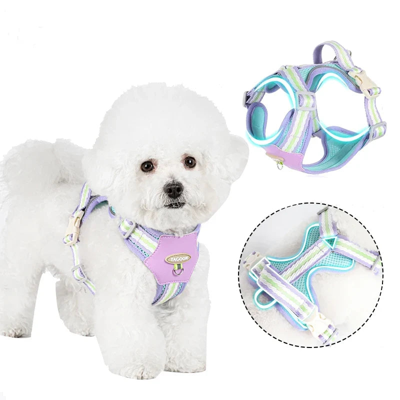 Harnais Gilet Réglable pour Chiot