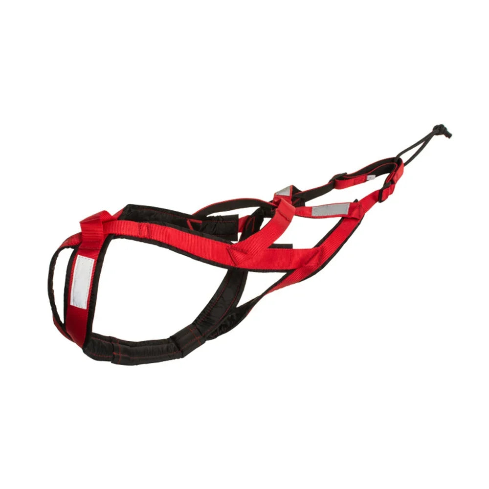 Harnais Sport Grand Chien : Ski & Course
