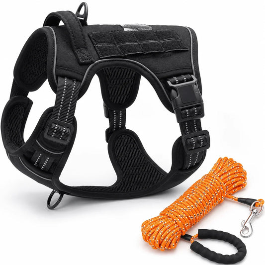Harnais Tactique Militaire avec Laisse 5m