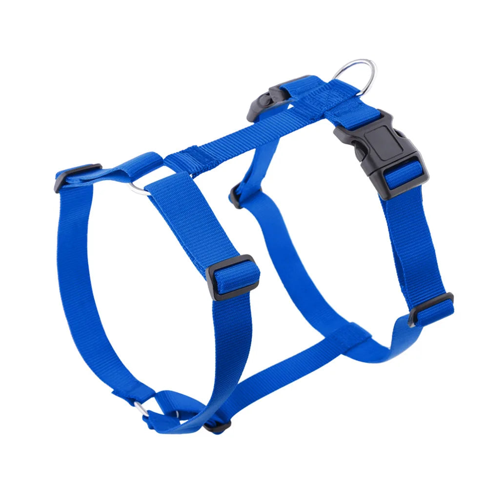 Harnais & Laisse Nylon Grand Chien