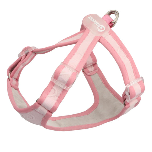 Gilet Nylon Petit Chien : Confort & Sans Traction