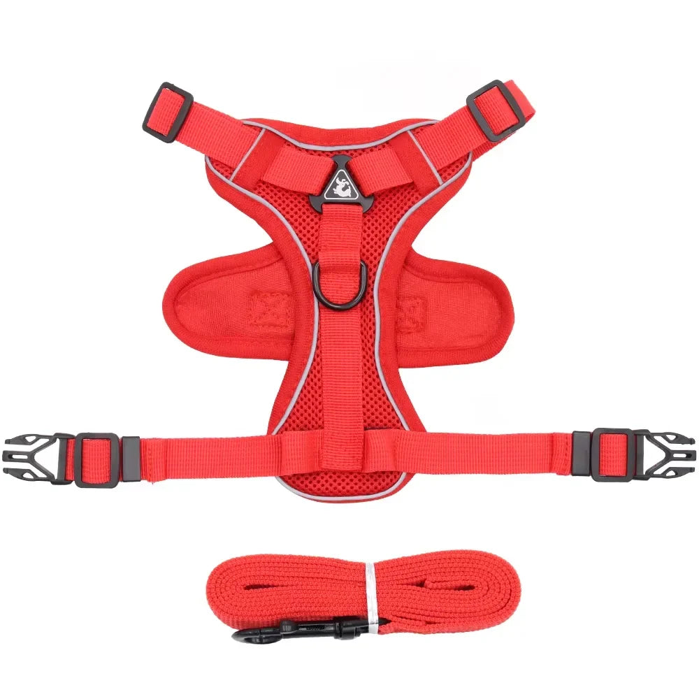 Harnais Anti-Traction & Laisse pour Petit Chien/Chat