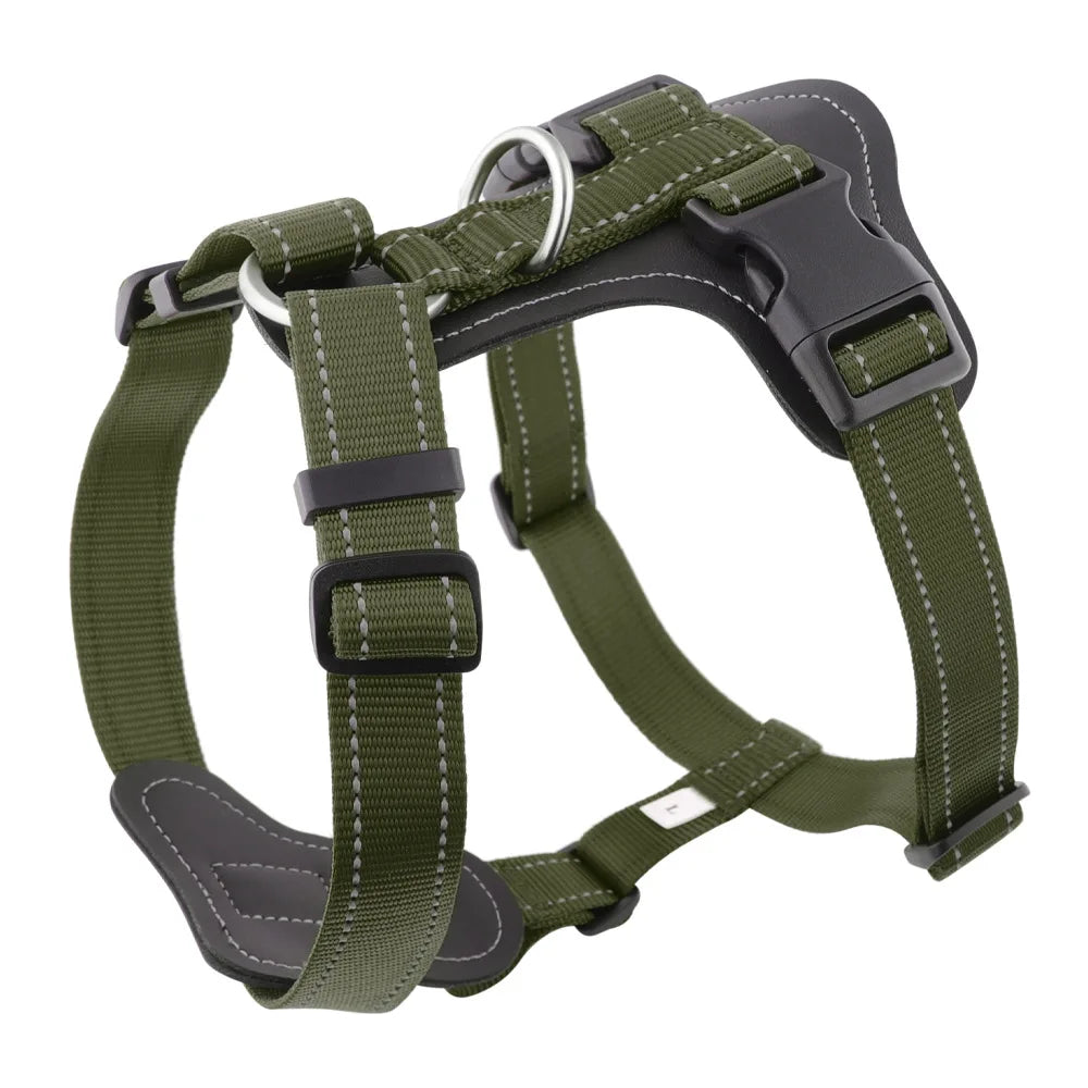 Ensemble Harnais Gilet Cuir Chien