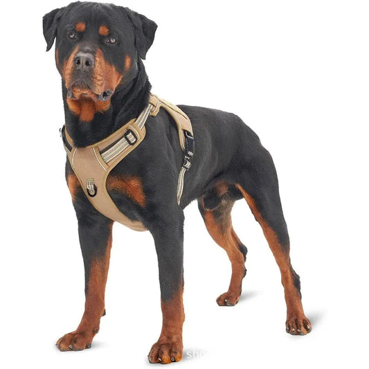 Harnais Tactique Chien Maille Réfléchissant