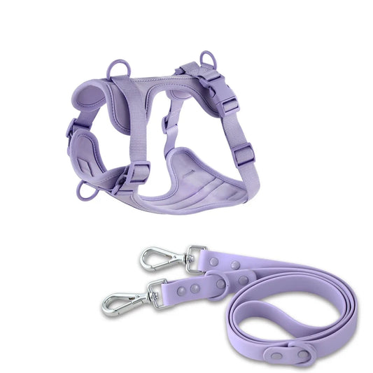 Harnais et Laisse Double PVC : Confort & Sécurité