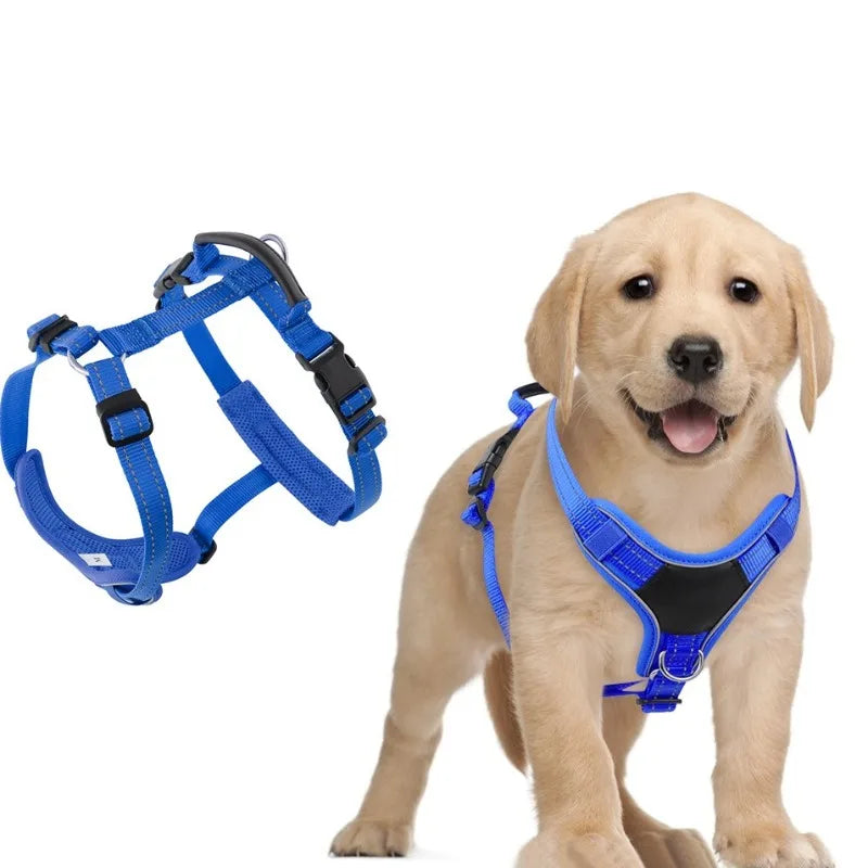 Harnais Anti-Fugue Gilet Chien