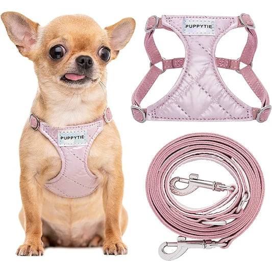 Harnais Anti-Traction Douceur pour Chiots et Petits Chiens