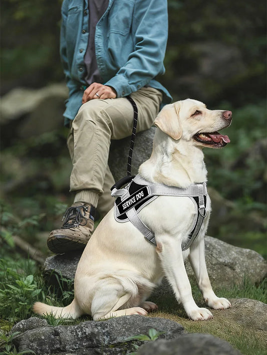 Harnais Grand Chien Anti-Traction Réfléchissant