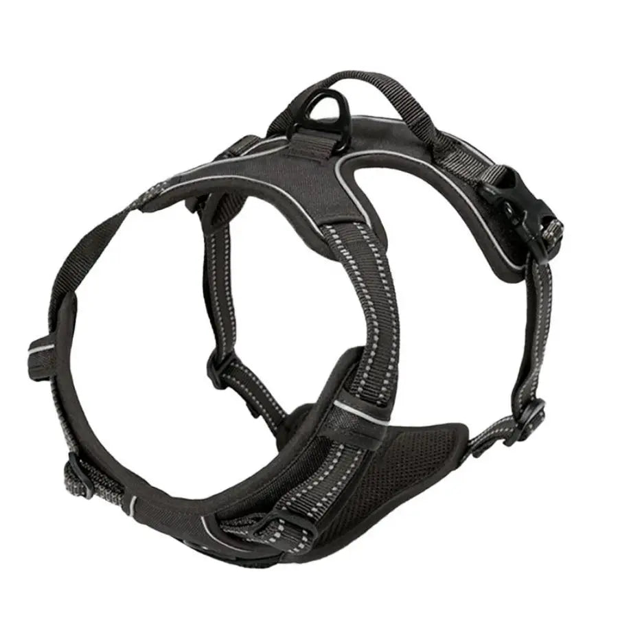 Harnais Anti-Traction Grand Chien - Contrôle & Sécurité