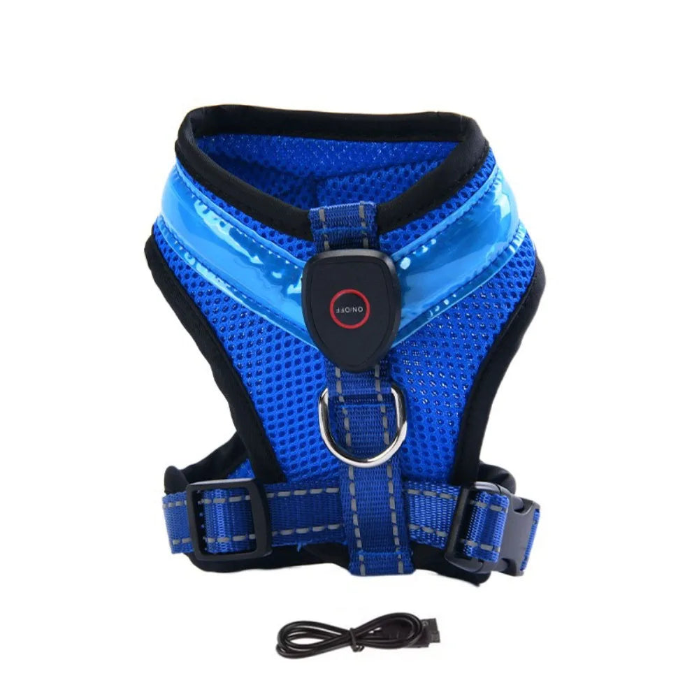 Harnais LED Chien : Visibilité & Confort Nocturne