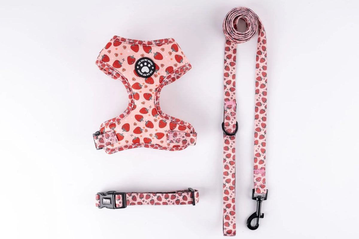 Harnais Chiot Motifs Doux & Respirant