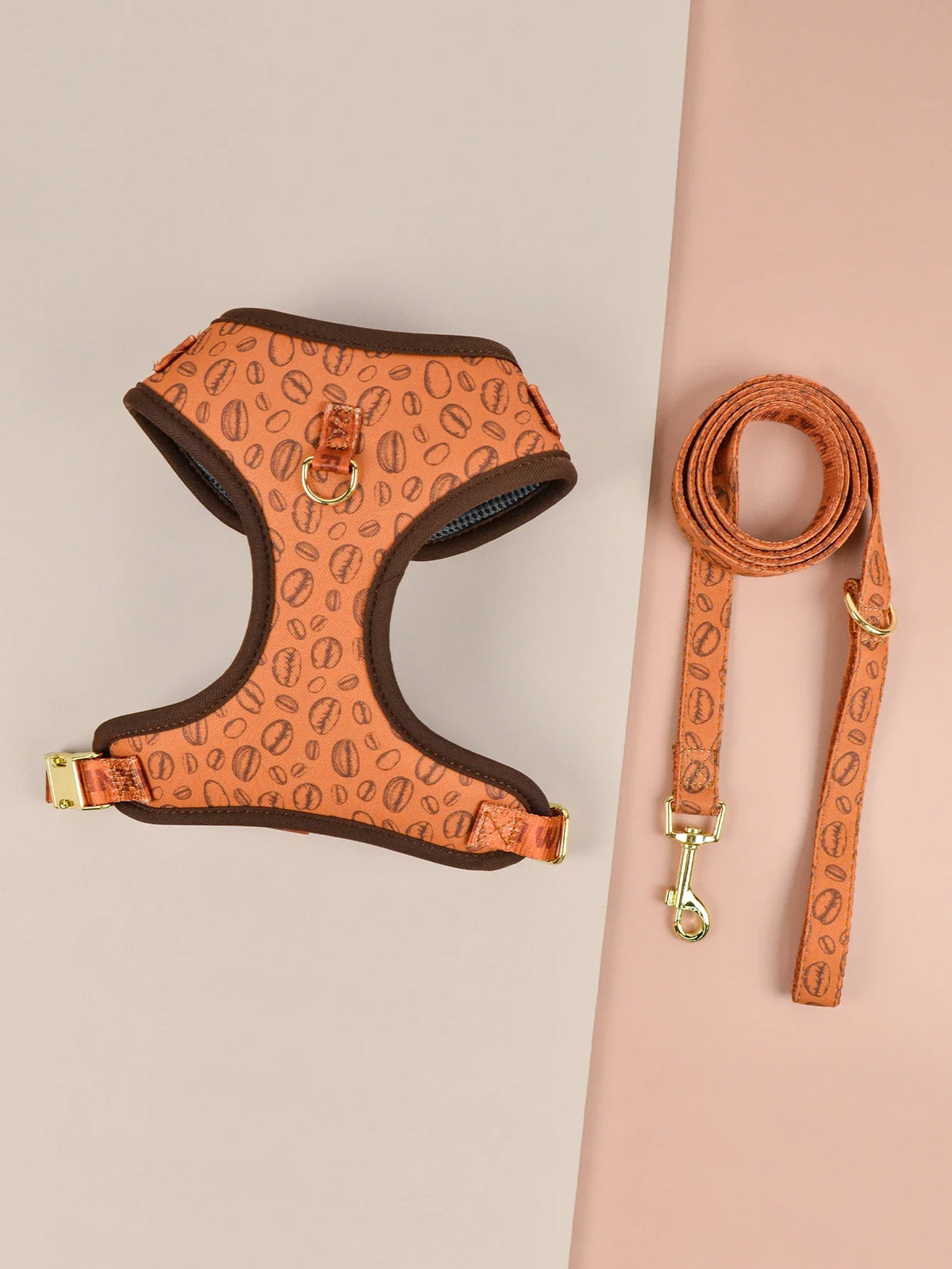 Harnais Luxe Chien Laisse Incluse Design Mignon