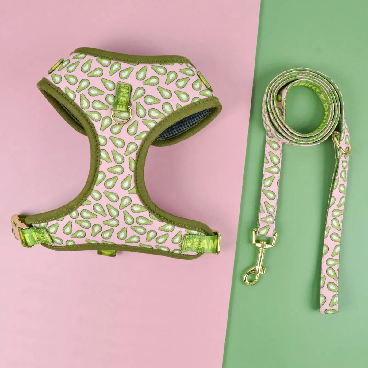 Harnais Luxe Chien Laisse Incluse Design Mignon