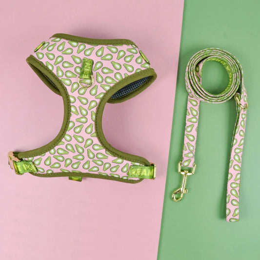 Harnais Luxe Chien Laisse Incluse Design Mignon