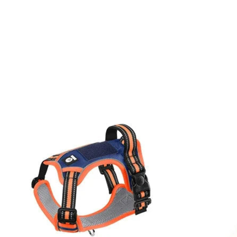 Harnais Anti-Évasion Oxford Grand Chien + Collier Réfléchissant